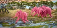 Wildlife Art - A Splash Of Pink - Oil